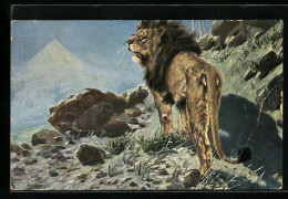 Künstler-AK Löwe In Den Bergen Bei Pyramide  - Tigres