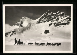 AK Jungfraujoch, Schlitten Mit Polarhunden Und Fahrgast Gegen Jungfrau  - Honden