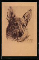 AK Schäferhund, Portrait, Zeichnung  - Honden