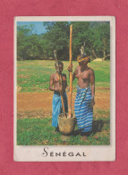 Senegal. Jeunes Femmes Peul. Charmes Et Colueurs Du Senegal- Standard Size, Divided Back, New, Ed. Gacou N° CB32. - Sénégal
