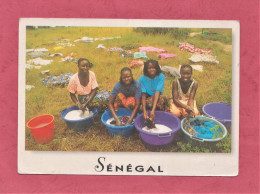 Senegal. Les Ingères. Charmes And Couleurs Du Senegal .Photo Am Breger. New, Divided Back, Ed. Gacou N° CB7. New. - Sénégal