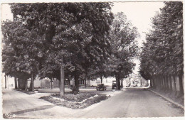 51 - AMBONNAY (Marne) - Place Barancourt (Voitures) - Other & Unclassified