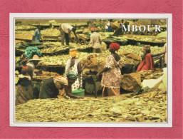 Senegal. Mbour- Sechage De Poisson. Standard Size, Divided Back, Photo  Karim Boye. Ed. Africa° 288. New. - Senegal