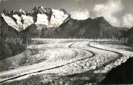 13297779 Aletschgletscher Blick Vom Aletschwald Wannehorn Aletschgletscher - Other & Unclassified