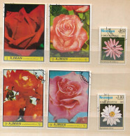 6 Timbres Oblitérés Différents VIII-2 Fleurs  AJMAN 4 Roses  NICARAGUA 2 Nymphea - Roses