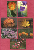 Turkey- Turk Telecom- Turkish Flowers- Used Pre Paid Phone Cards By 50 & 100 Units- Lot Of Seven Cards- - Türkei