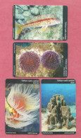 Turkey- Turk Telecom- Turkish Sea Life- Used Pre Paid Phone Cards By 50 & 100 Units- Lot Of Four Cards- - Turkije