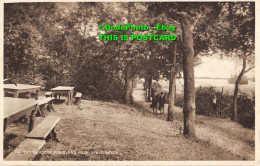 R355881 Upnor Beach. The Tea Gardens. Woodland Park. Postcard - World