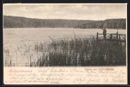 AK Berlin-Schlachtensee, Uferpartie Mit Mann Am Pier  - Zehlendorf