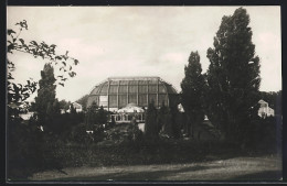 AK Berlin-Dahlem, Botanischer Garten, Italienischer Garten Mit Schauhäusern  - Dahlem