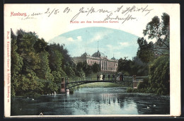 AK Hamburg-St.Pauli, Parthie Aus Dem Botanischen Garten  - Mitte