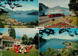 13246319 Weggis Vierwaldstaettersee Landschaftspanorama Alpen Touristenbahn Konz - Other & Unclassified