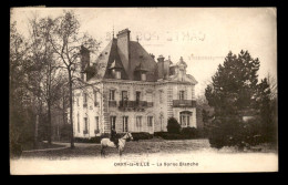 60 - ORRY-LA-VILLE - CHATEAU DE LA BORNE BLANCHE - Other & Unclassified