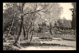 ALGERIE - BEN AHMED - UN COIN DU JARDIN PUBLIC - Andere & Zonder Classificatie