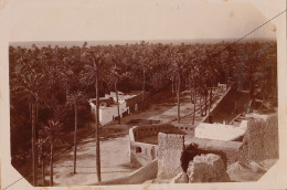 1891 Photo Afrique Algérie Partie Sud  De L'oasis à Laghouat Souvenir Mission Géodésique Militaire Boulard - Gentil - Anciennes (Av. 1900)