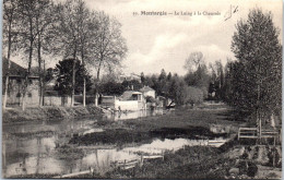 45 MONTARGIS - Le Loing A La Chaussee  - Montargis
