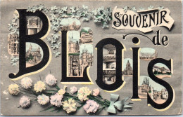 41 BLOIS - Un Souvenir De Blois (fleurs) - Blois