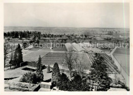 13211287 Taegerwilen Gemuesebau AG  Taegerwilen - Autres & Non Classés