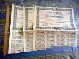 LOT DE 23 ACTION AVEC COUPONS De 1897 MADRID 1897 LA PLATA - Mijnen