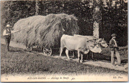 73 AIX LES BAINS - Attelage De Boeufs  - Aix Les Bains