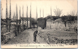 77 BRIE COMTE ROBERT - Vue Prise Des Ruines Du CHATEAU - Brie Comte Robert