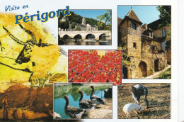 Visite En Périgord - Altri & Non Classificati