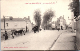 53 CHATEAUGONTIER - L'avenue De Sable  - Andere & Zonder Classificatie