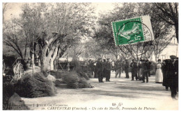 84 CARPENTRAS - Un Coin Du Marche, Promenade Des Platanes - Carpentras