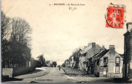 53 MAYENNE - La Route De Paris  - Mayenne