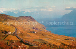 13191327 Lavaux VD Panorama Lavaux VD - Other & Unclassified