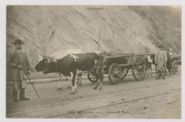 L'Auvergne : Gens De Chez Nous, Attelage De Boeufs (z4194) - Auvergne