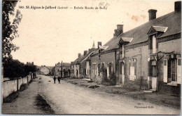 45 SAINT AIGNAN LE JAILLARD - Entree Route De Sully  - Autres & Non Classés