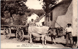 65 - Les Pyrenees, Un Attelage Des Pyrenees. - Sonstige & Ohne Zuordnung