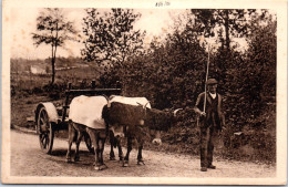 64 - Vieux Basque Et Son Attelage. - Altri & Non Classificati