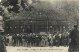 PARIS  Jardin Des Plantes Palais Des Singes RV - Parks, Gärten
