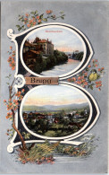 SUISSE - ARGOVIE - BRUGG - Carte Souvenir Double Vue  - Andere & Zonder Classificatie