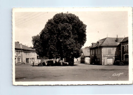 19 LAGRAULIERE - La Place Du Tilleul. - Sonstige & Ohne Zuordnung