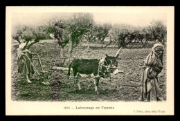 TUNISIE - SCENES ET TYPES - EDITEUR F. SOLER CARTE PIONNIERE - LABOURAGE EN TUNISIE - ANE - Tunisie