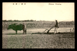 CHINE - CHINESE FARMING - Chine