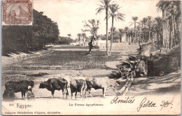 EGYPTE - Type De Ferme Egyptienne. - Sonstige & Ohne Zuordnung