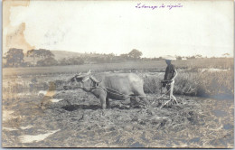 INDOCHINE - CARTE PHOTO - Labourage D'une Riziere  - Viêt-Nam