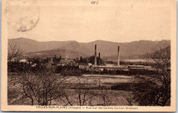 88 CELLES SUR PLAINE - Vue Sur Les Usines. - Altri & Non Classificati