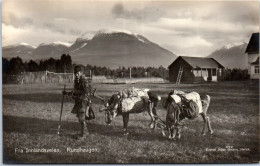 NORVEGE - Lappon Et Ses Renes  - Norvège