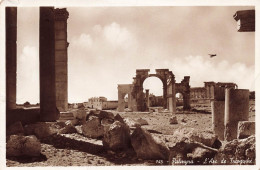 SYRIE - Palmyra - Vue Sur L'Arc De Triomphe - Vue Générale - Carte Postale - Syrien