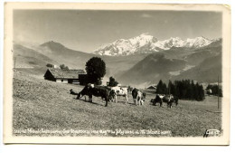 CPSM GEP  9 X 14 Savoie HAUTELUCE  Les Poumons (1450) Aiglles Du Joly (2290) Et Mt Blanc (4807) Vaches  Chien Alpage - Sonstige & Ohne Zuordnung