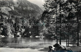 13140479 Blausee BE Partie Am Bergsee Mit Ruine Felsenburg Blausee BE - Other & Unclassified