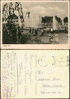 Ansichtskarte Essen (Ruhr) Grugapark - Springbrunnen 1961 - Essen