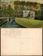 Postkaart Den Haag Den Haag Haagsche Bosch 1911 - Den Haag ('s-Gravenhage)