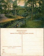 Postkaart Rijsenburg-Driebergen-Rijsenburg Zwitsersche Brug 1906 - Other & Unclassified