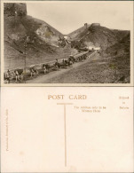 Postcard Aden Jemen عدن Caravane - Stadtmauer 1926 - Yemen
